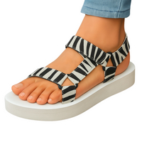 Zebra - White